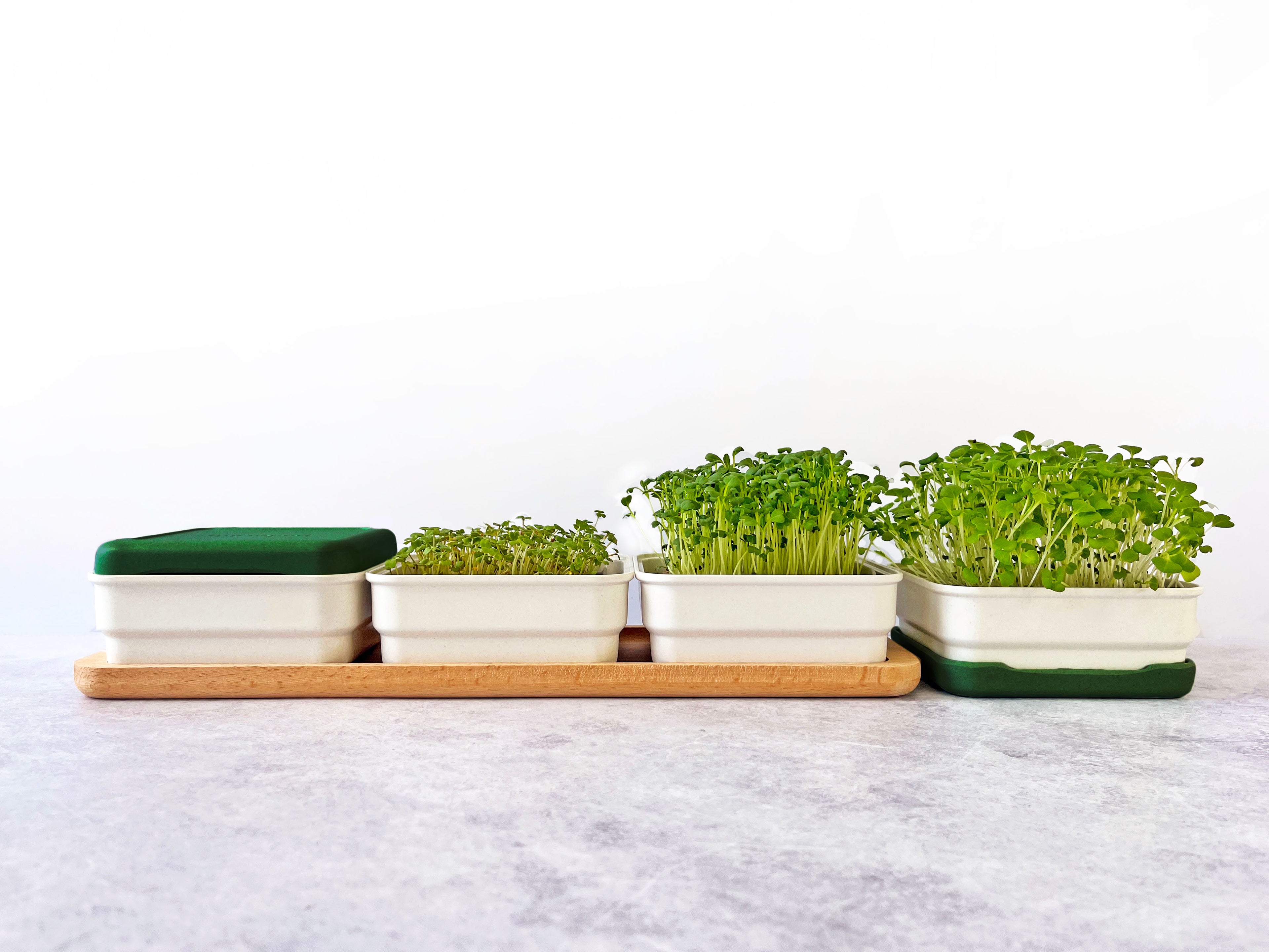 CONTINUOUS GROW KIT