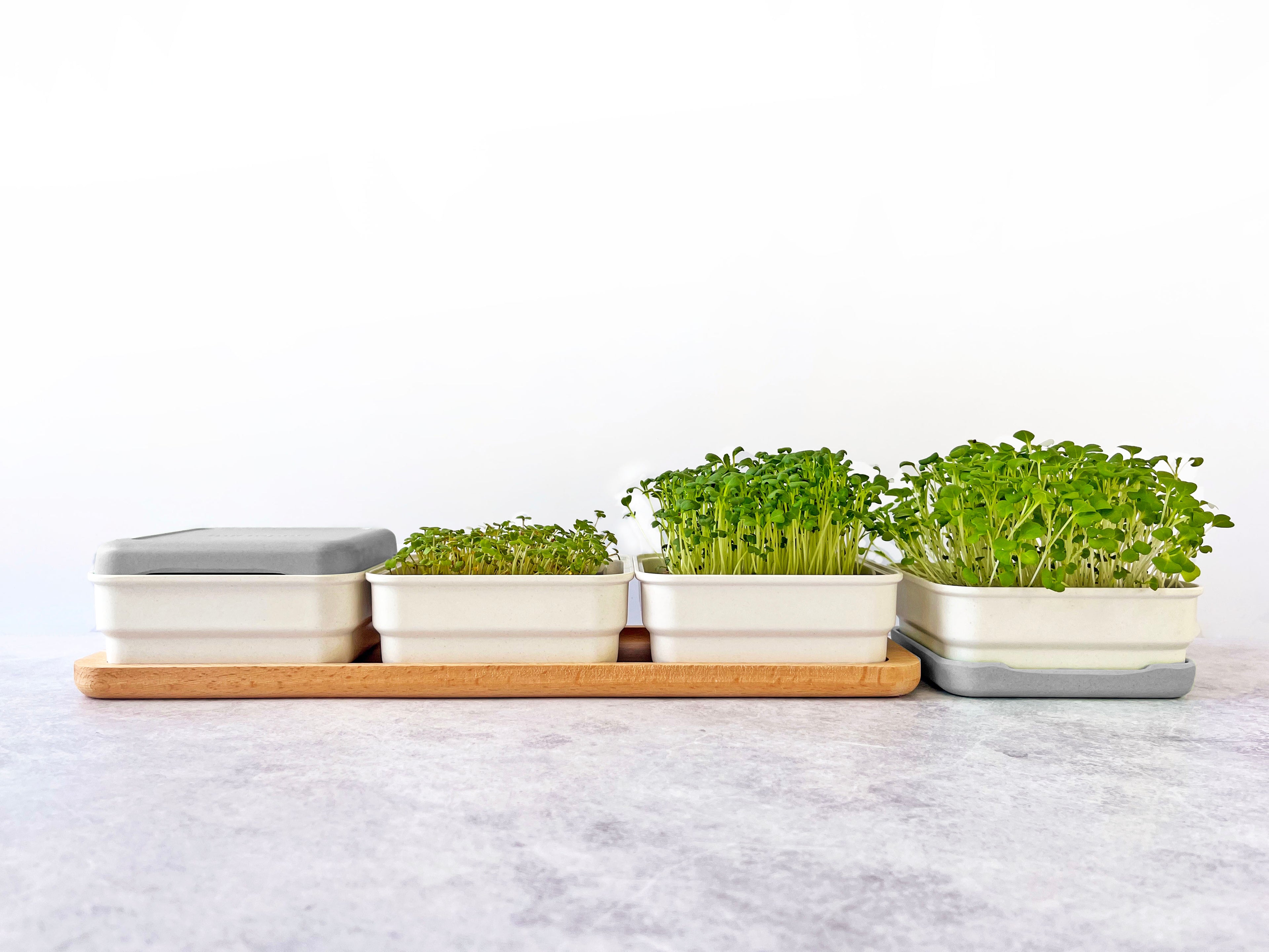 CONTINUOUS GROW KIT