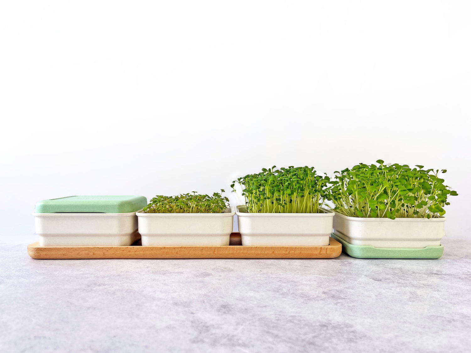CONTINUOUS GROW KIT
