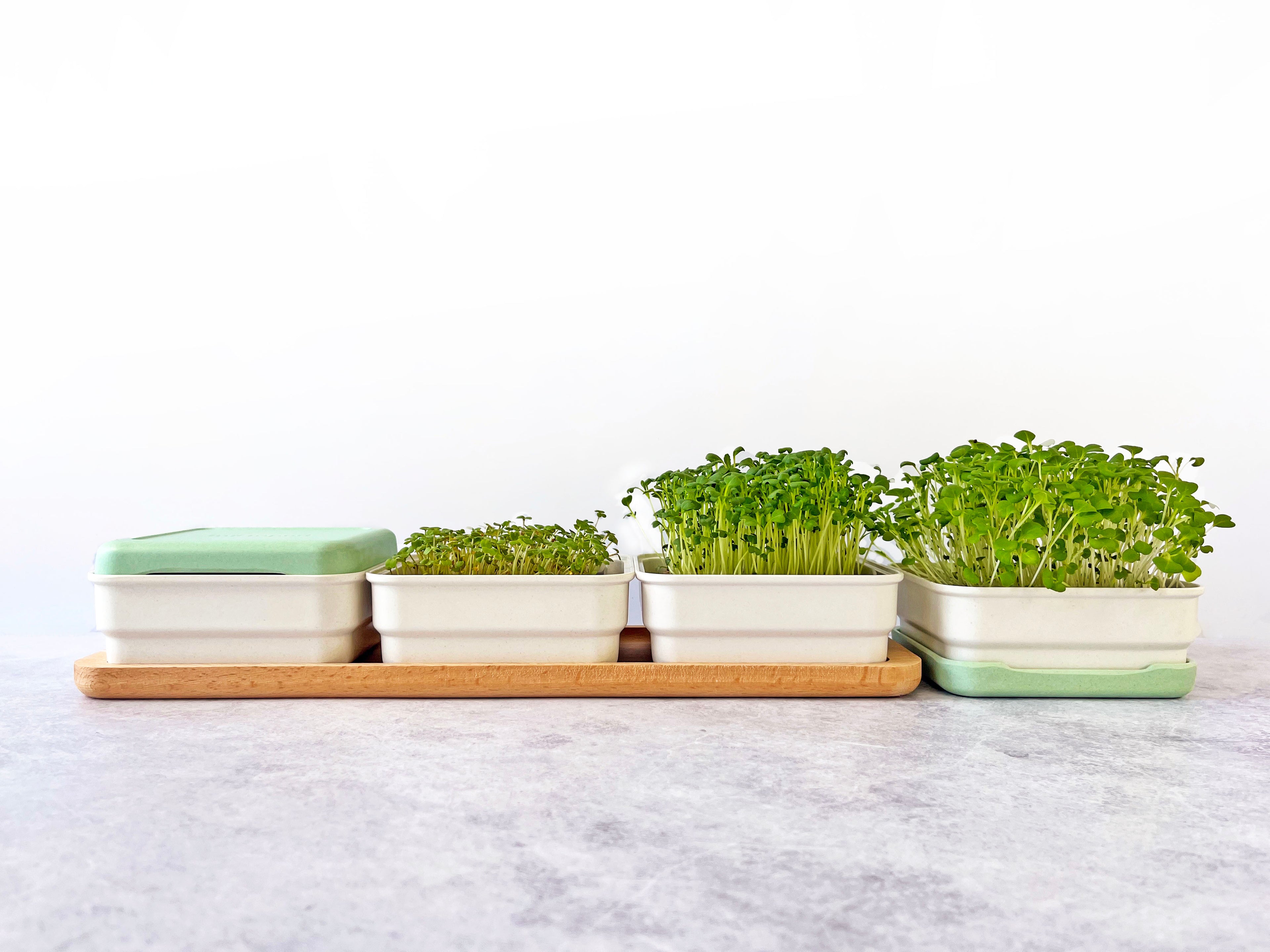 CONTINUOUS GROW KIT