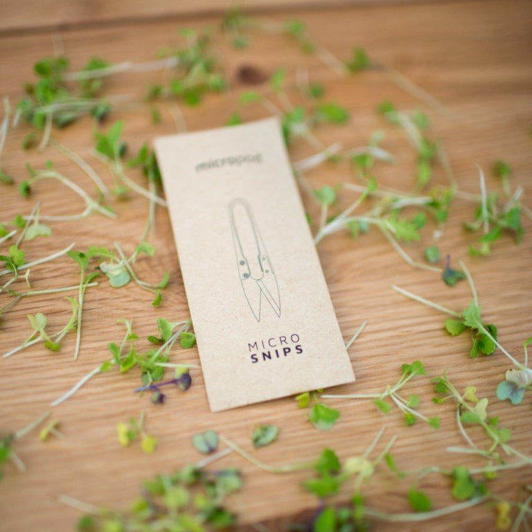 Micro Snips - au micropod