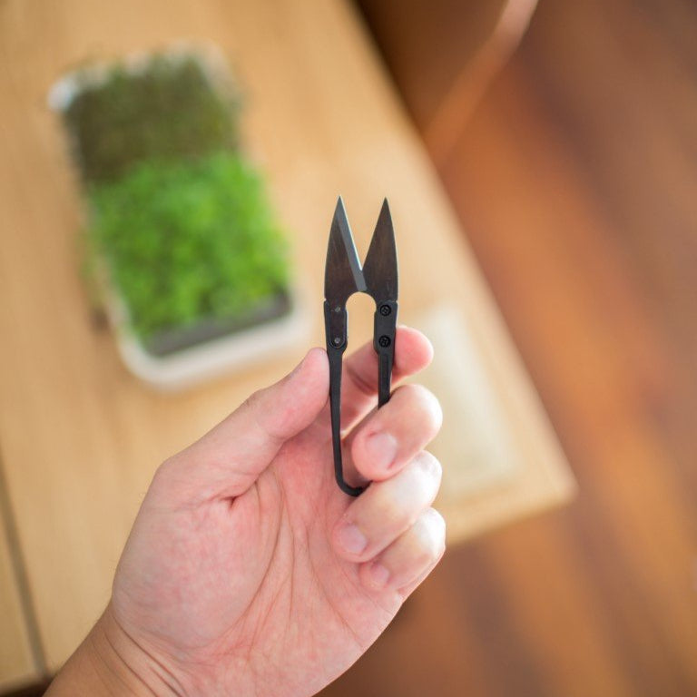 Micro Snips - au micropod