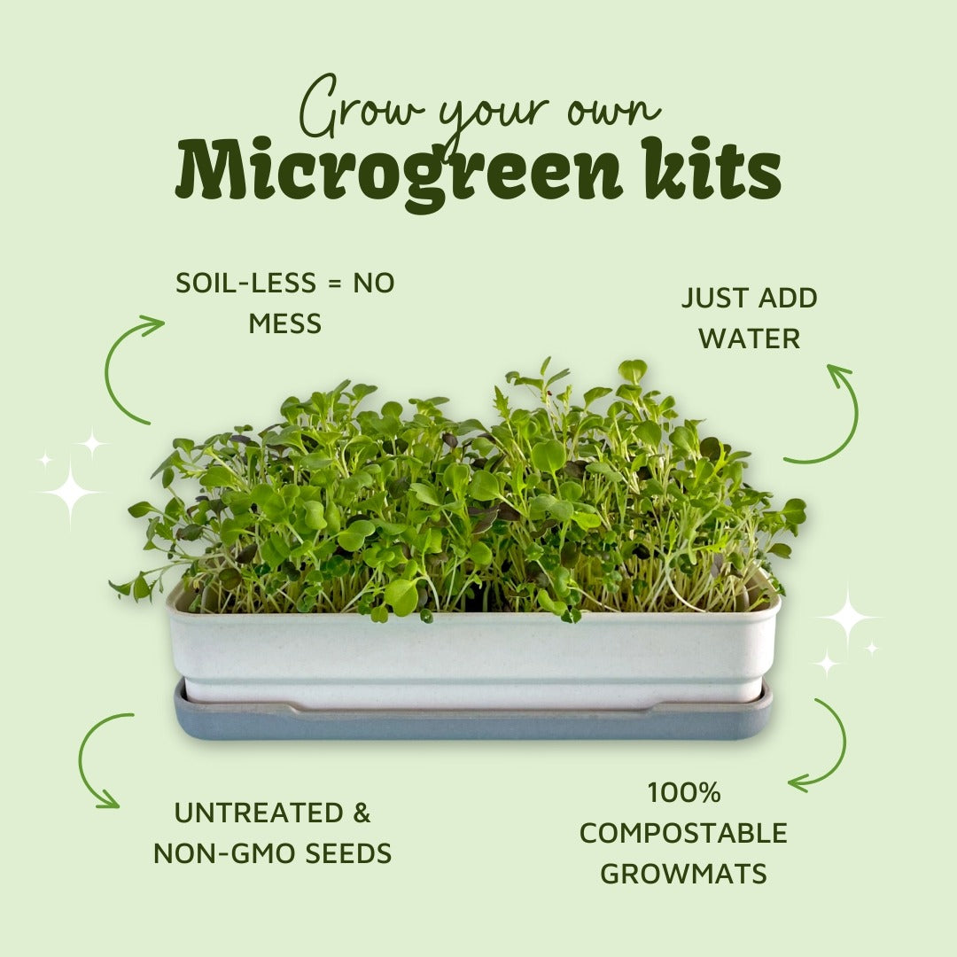 STARTER KIT - micropod