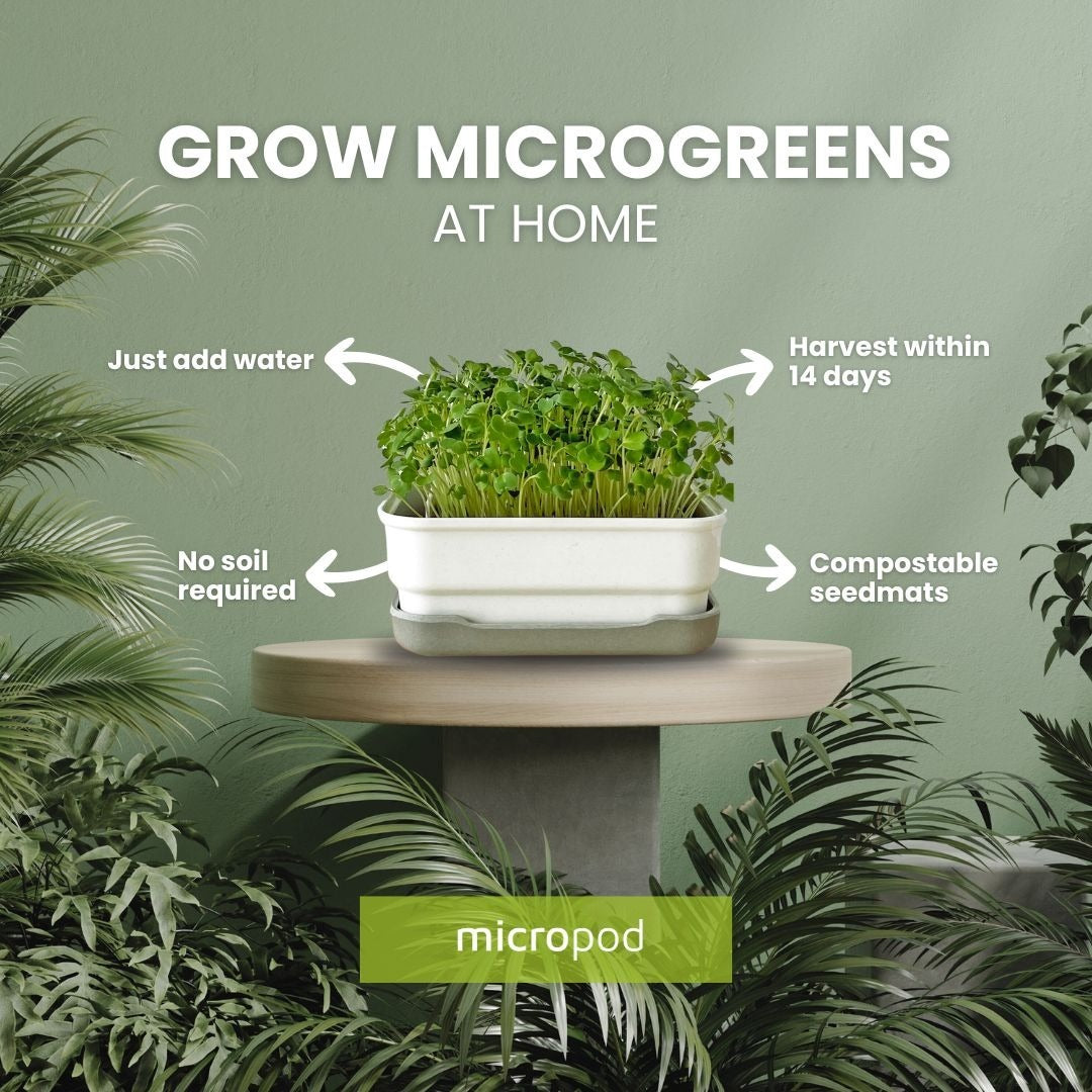 MINI STARTER KIT - micropod