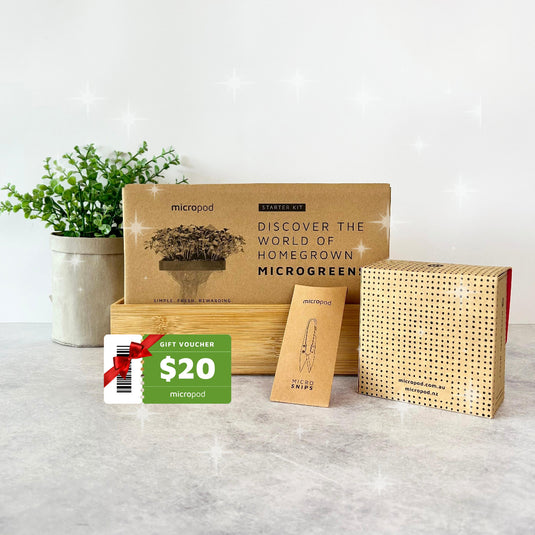 Grow microgreens at home with our soilless kits – micropod