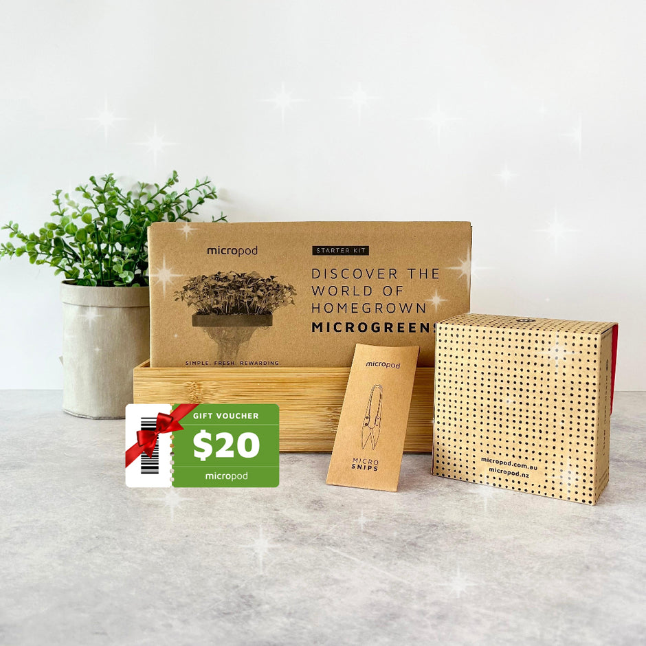 Grow microgreens at home with our soilless kits – micropod