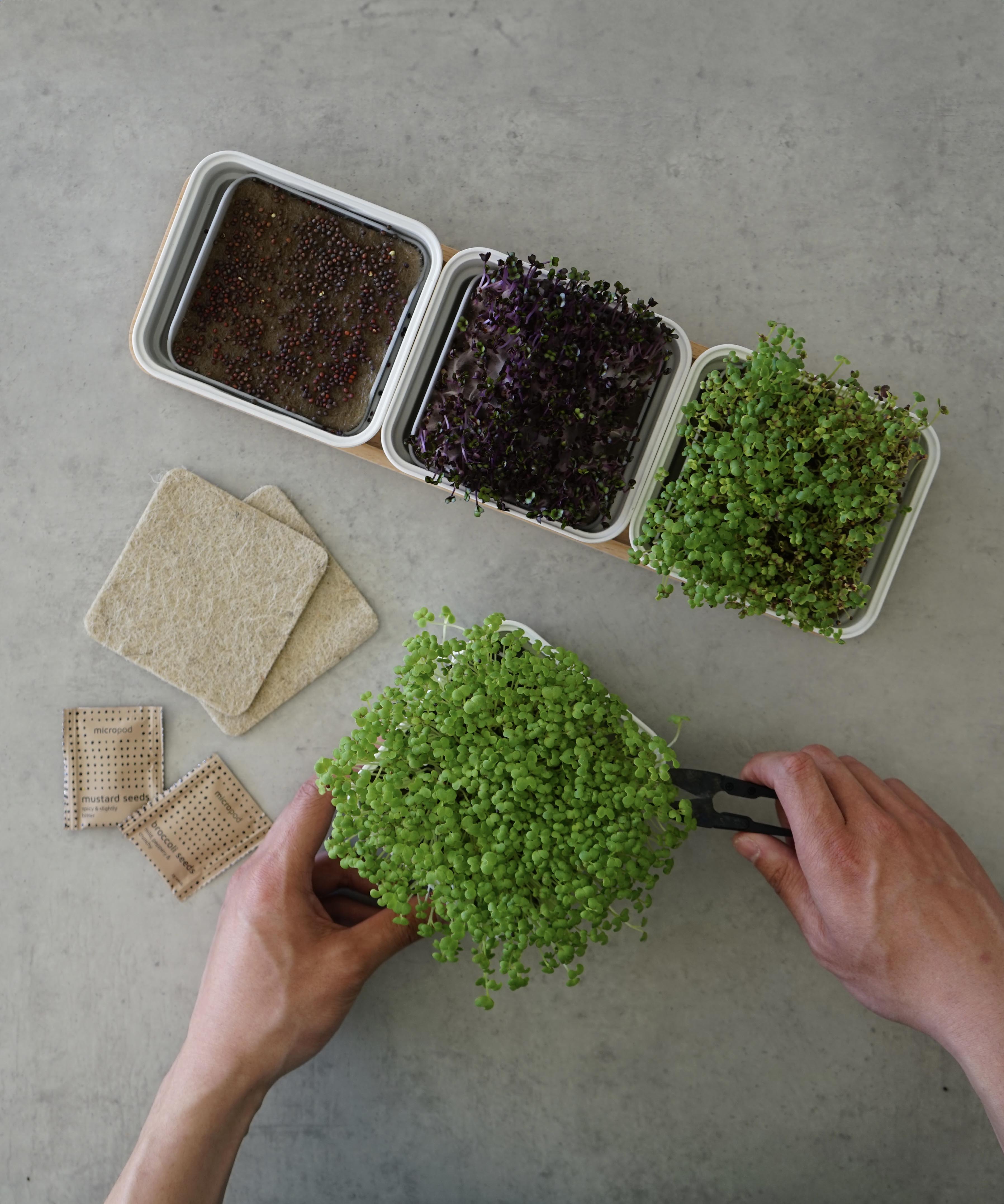 CONTINUOUS GROW KIT