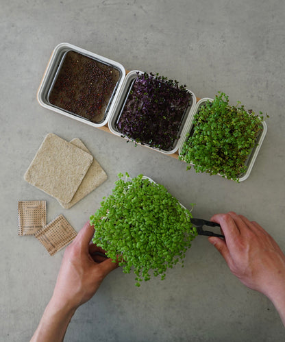 CONTINUOUS GROW KIT