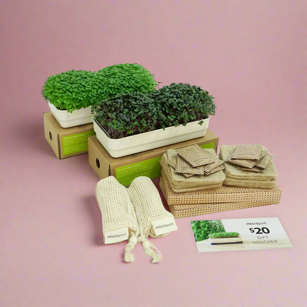 Gift One, Grow One Bundle
