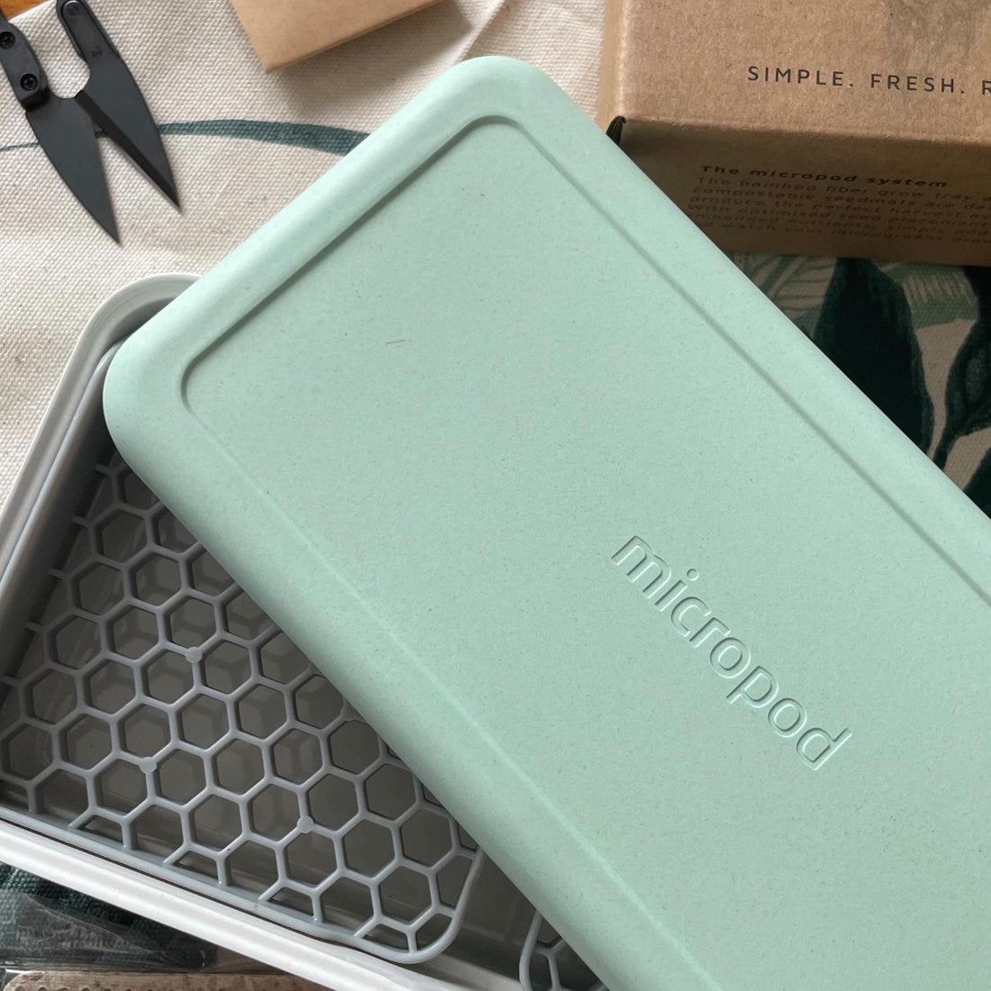 Grow microgreens at home with our soilless kits – micropod