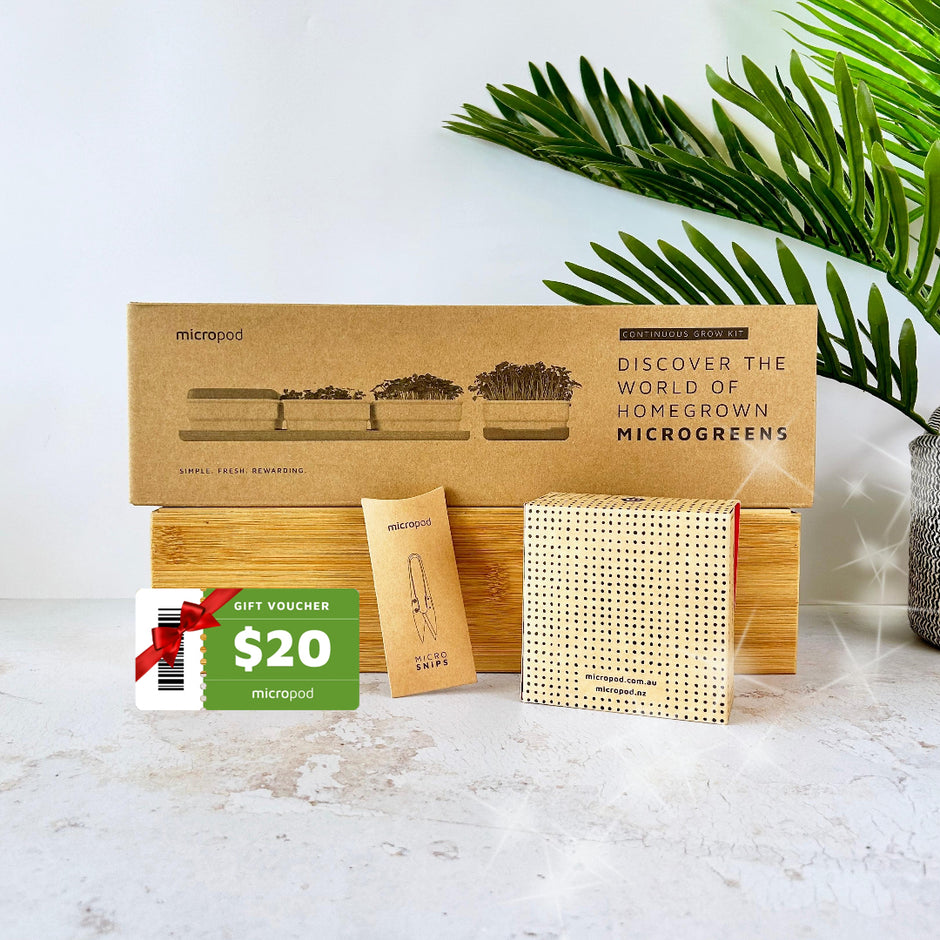 Grow microgreens at home with our soilless kits – micropod